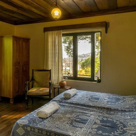 Elaia Hotel 3*