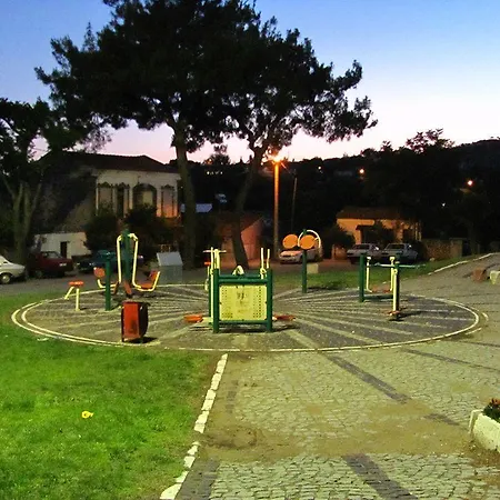 Elaia